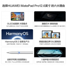 華為HUAWEI MatePad Pro 12.6英寸鴻蒙HarmonyOS系統(tǒng)OLED屏幕平板電腦學習8GB12GB內存 前白后冰霜銀  